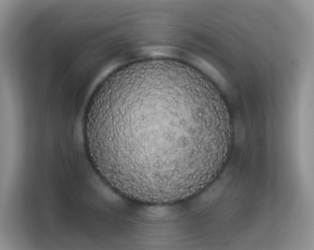 X0000113981182200910091312