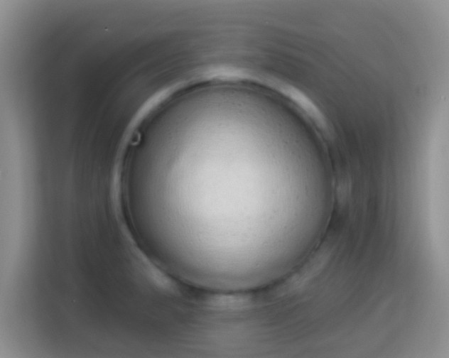 X0000113981183200910091312