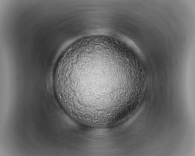 X0000113981184200910091312