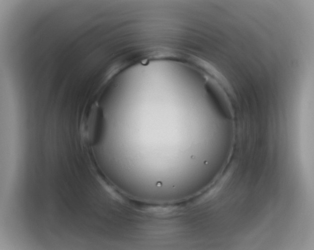 X0000113981185200910091312