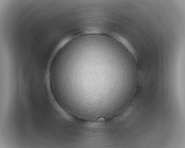 X0000113981187200910091312