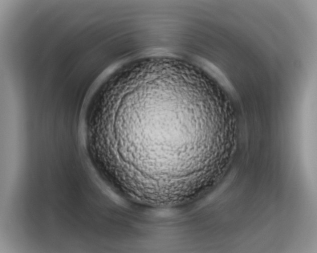 X0000113981188200910091312