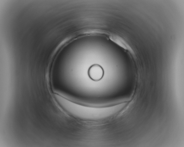 X0000113981189200910091312