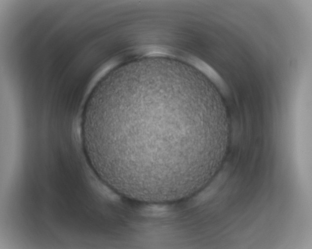 X0000113981190200910091312