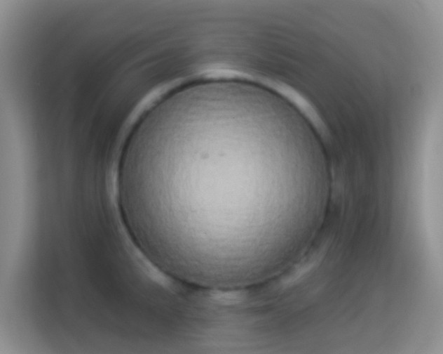 X0000113981191200910091312