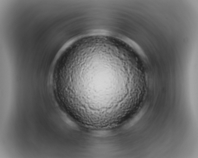 X0000113981192200910091312