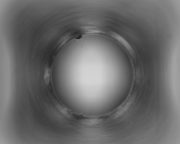 X0000113981193200910091312