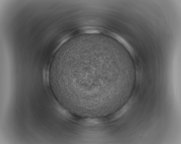 X0000113981194200910091312