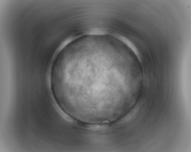 X0000113981195200910091312