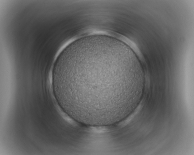 X0000113981198200910091311