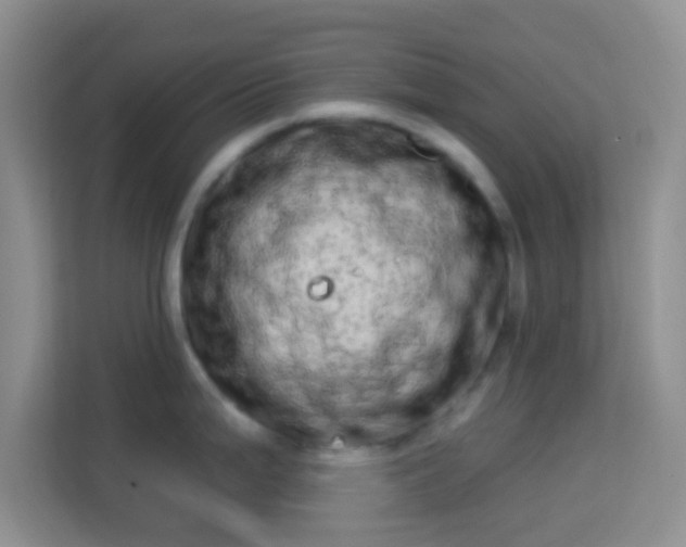 X0000113981199200910091311