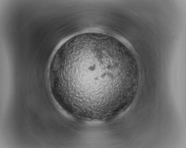 X0000113981200200910091311