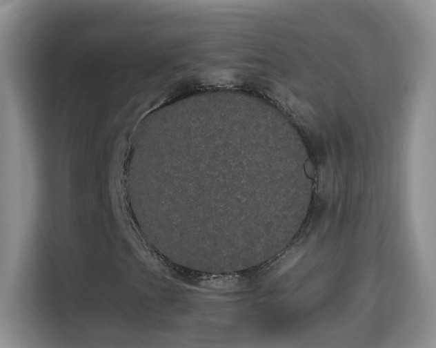 X0000113981201200910091311