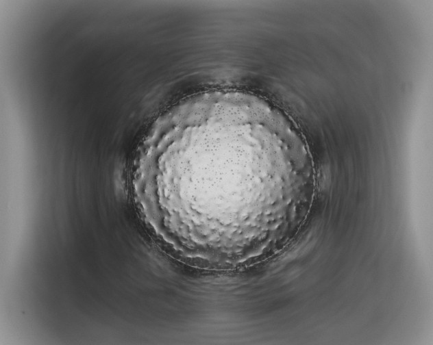 X0000113981202200910091311