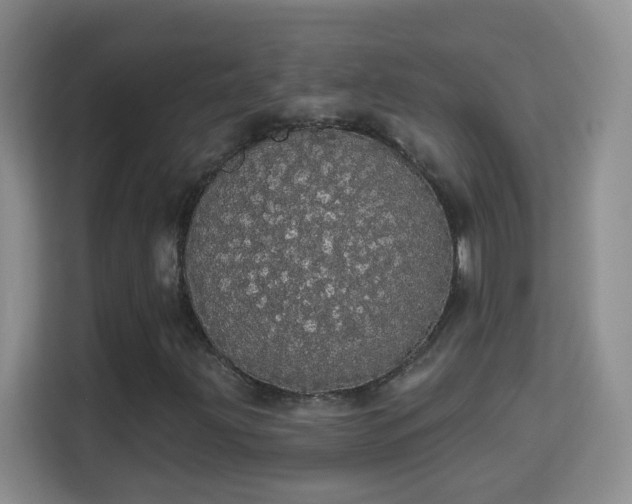 X0000113981203200910091311