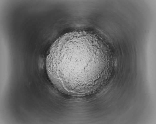 X0000113981204200910091311