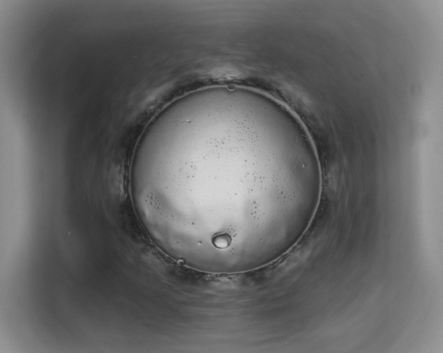 X0000113981205200910091311