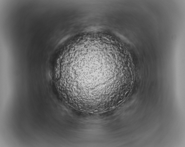 X0000113981206200910091311