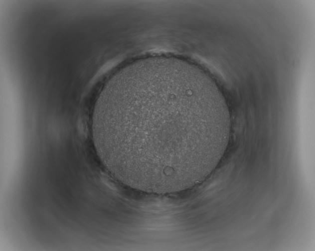 X0000113981207200910091311