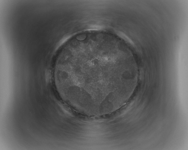 X0000113981208200910091311