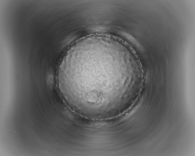 X0000113981209200910091311