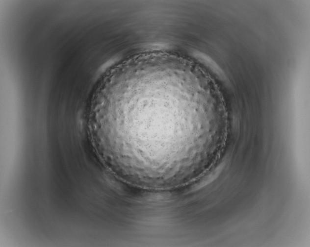 X0000113981210200910091311