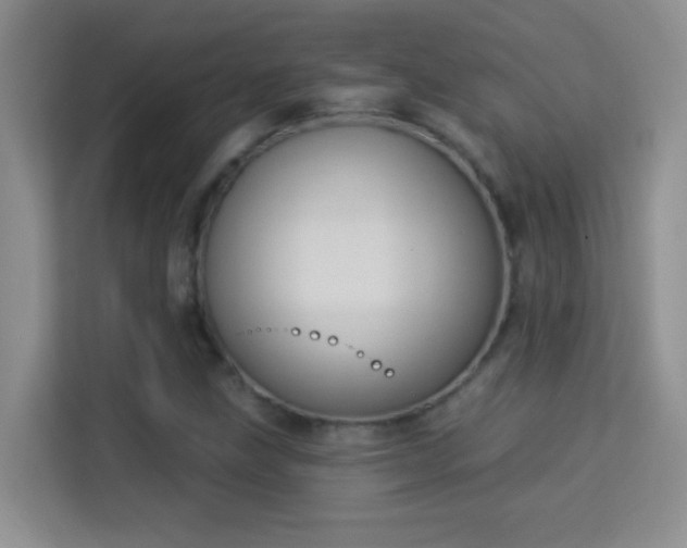 X0000113981211200910091311