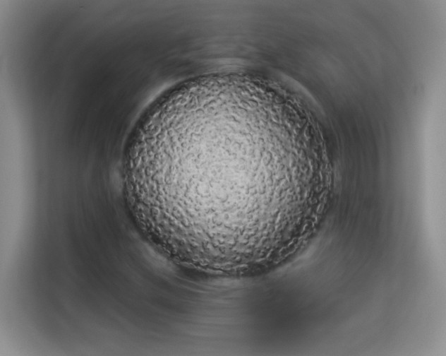 X0000113981212200910091311