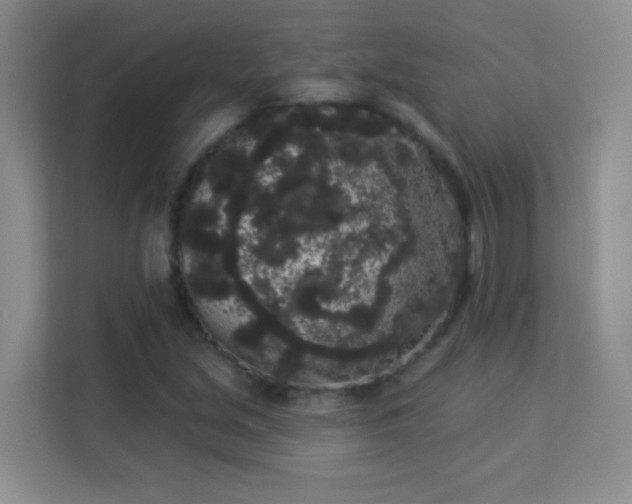 X0000113981213200910091311