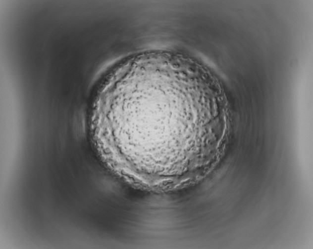 X0000113981214200910091311