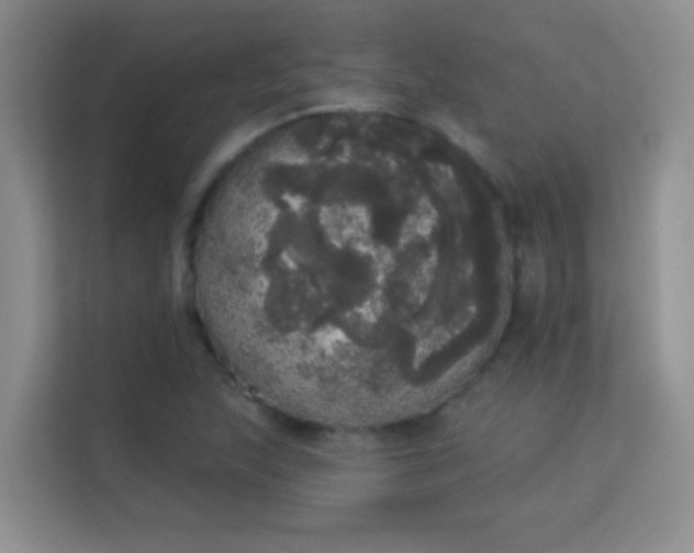 X0000113981215200910091311