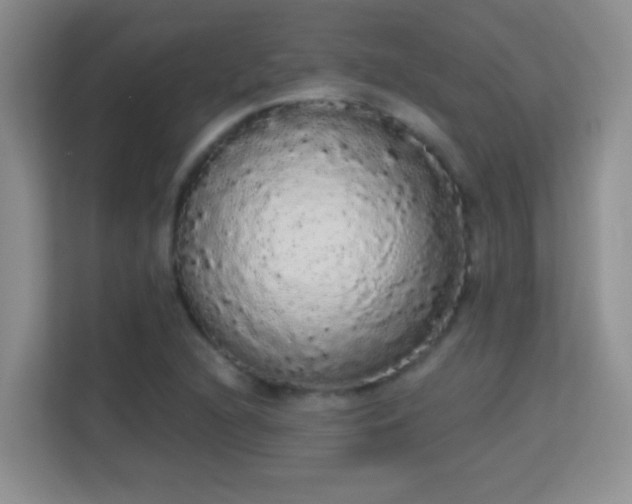 X0000113981216200910091311