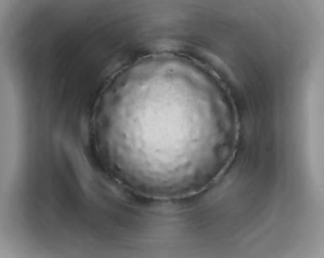 X0000113981217200910091311