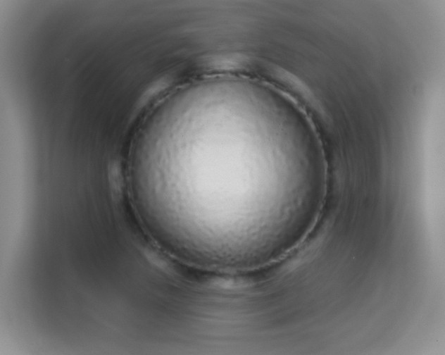 X0000113981218200910091311