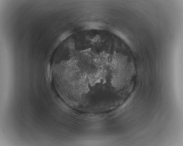 X0000113981219200910091311