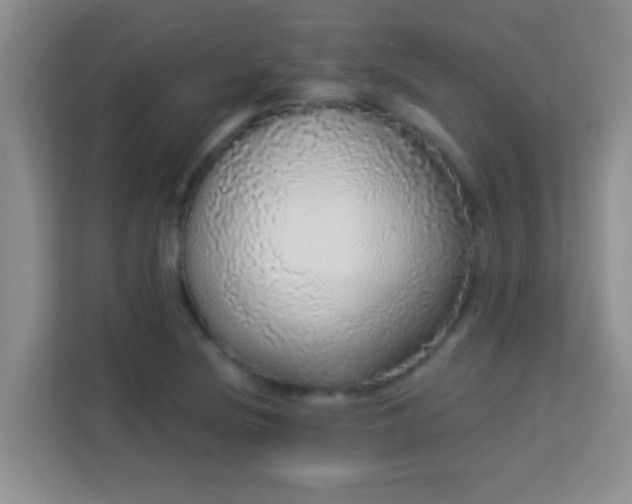 X0000113981220200910091311