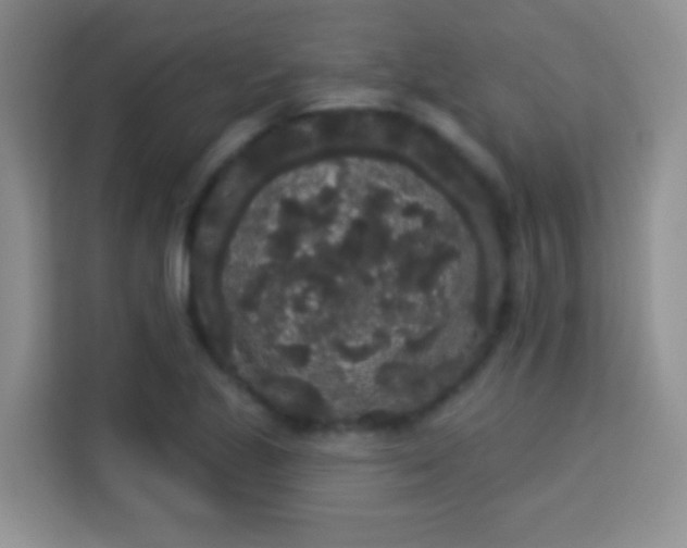 X0000113981221200910091311