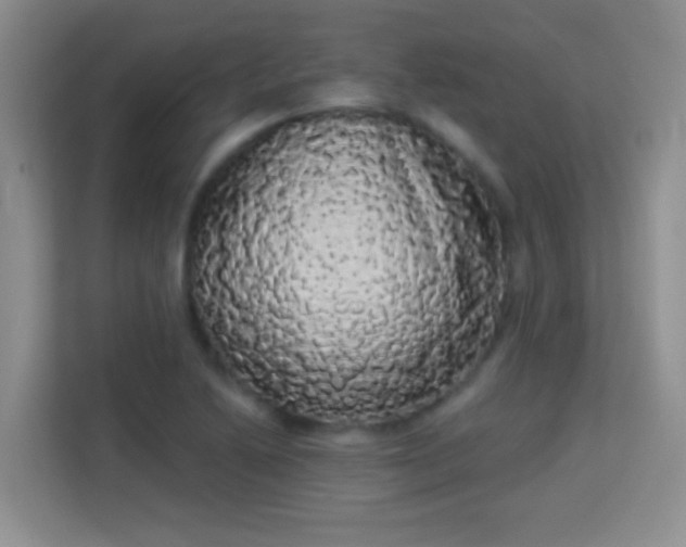 X0000113981222200910091311