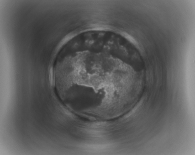 X0000113981223200910091311