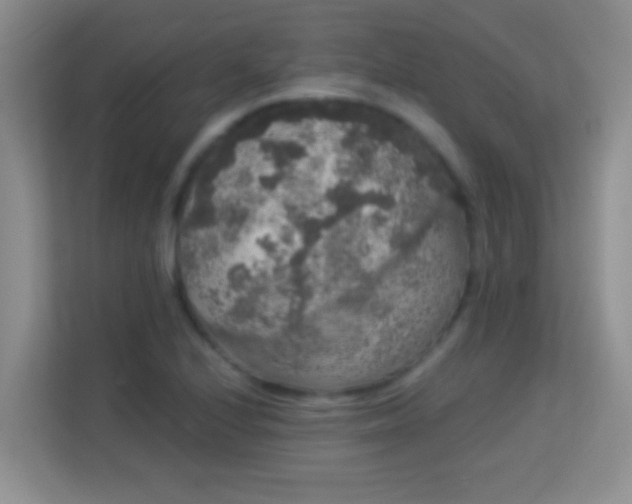 X0000113981224200910091311