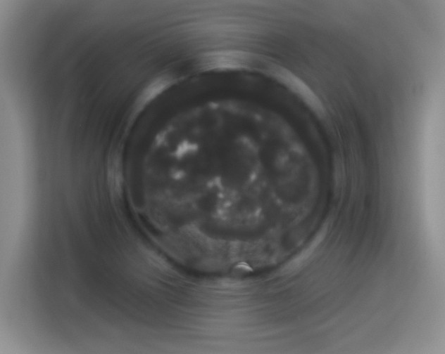 X0000113981226200910091311