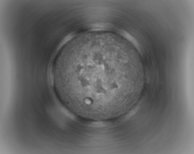 X0000113981227200910091311