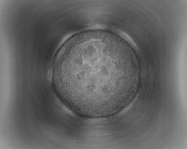 X0000113981228200910091311