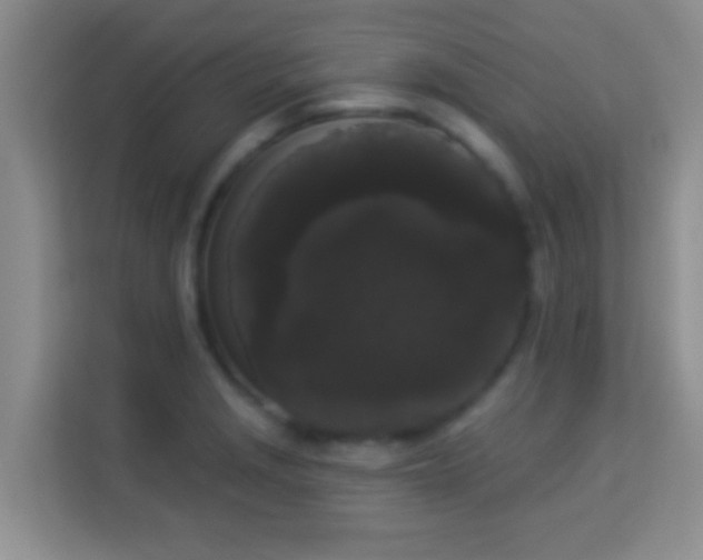 X0000113981229200910091311