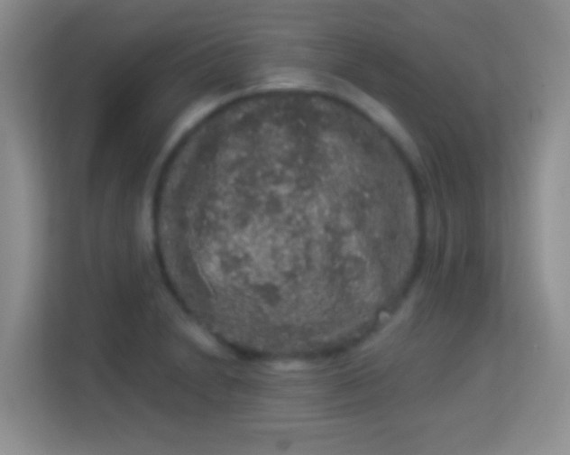 X0000113981230200910091311