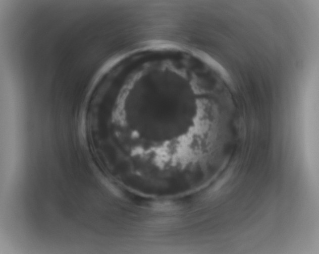 X0000113981231200910091311