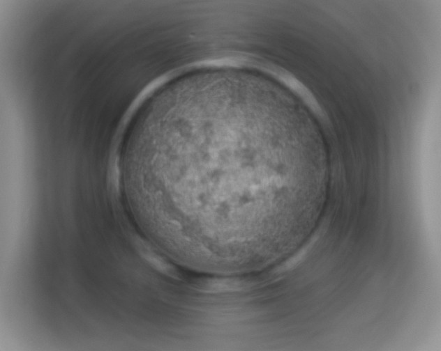 X0000113981232200910091311