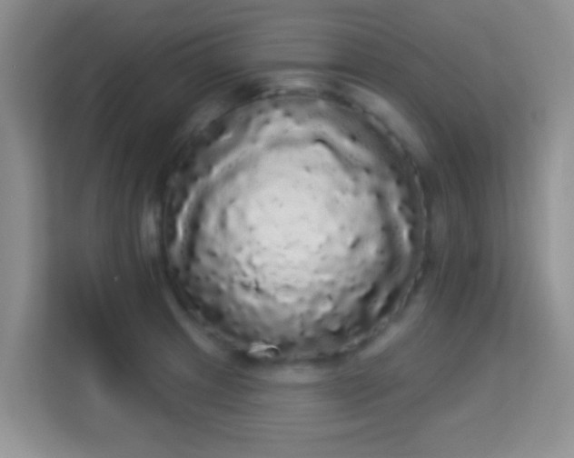 X0000113981233200910091311