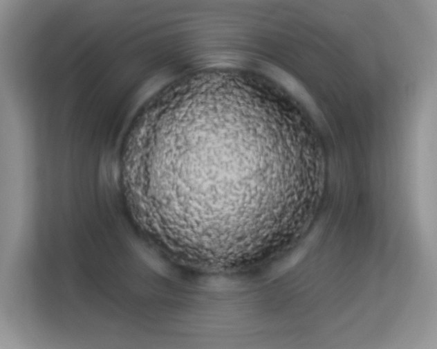 X0000113981234200910091311