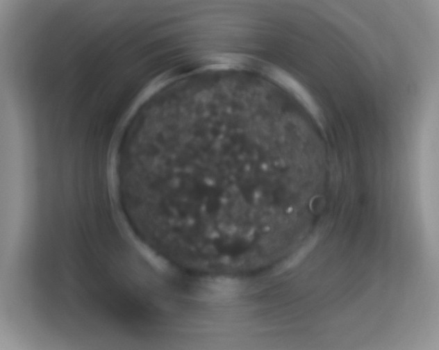 X0000113981235200910091311